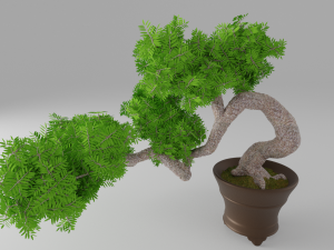 bonsai 3D 모델