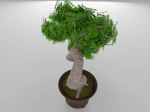 bonsai 3D Model