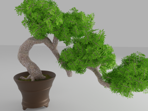 bonsai Modello 3D