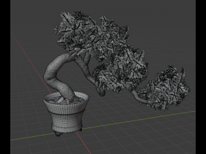 bonsai Modello 3D