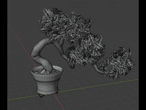 bonsai 3D Model