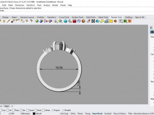 desain ring 03 ig 3D 모델