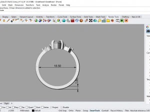 desain ring 03 ig 3D Model