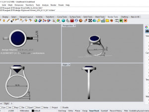 desain ring 04 ig 3D Model