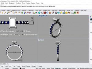 desain ring 08 ig 3D 모델