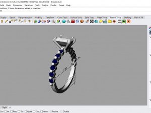 desain ring 08 ig 3D 모델