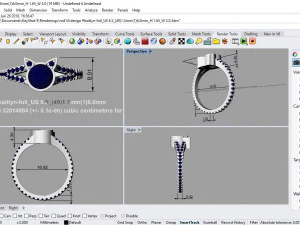 ring kaitlyan 3D Model