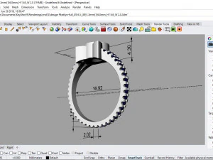 ring kaitlyan 3D Model