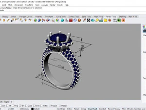 ring yenere xurren 3D Model
