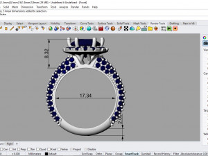 ring yenere xurren Modelo 3D