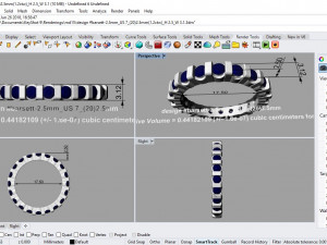 desain ring 10 ig 3Dモデル