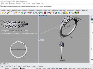 desain ring 11 ig Modello 3D