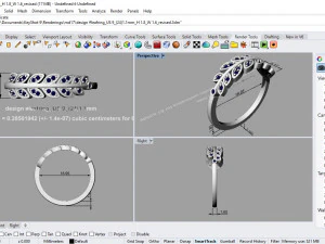 desain ring 11 ig 3D Model