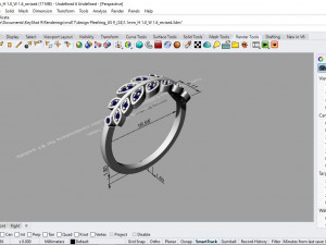 desain ring 11 ig Modello 3D