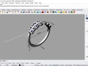 desain ring 11 ig 3D Model