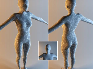 낮은 폴리 베이스 메쉬 여성 3D 모델