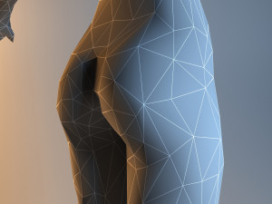low poly base mesh female Model 3D