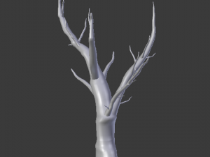 dry tree 3D Model