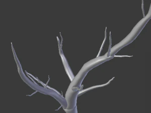 dry tree 3D Model