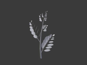 branch 3D Model