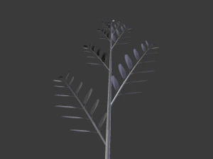 branch 3D Model