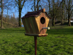 Casetta per uccelli di tipo cartone animato Modello 3D