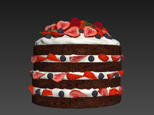 Berry Chocolate Cake Modelo 3D