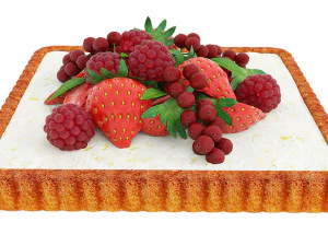 Berry Quadratic Tart 3D Model