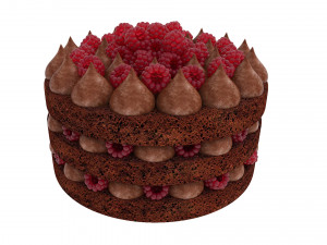Raspberry Chocolate Cake 3D Model