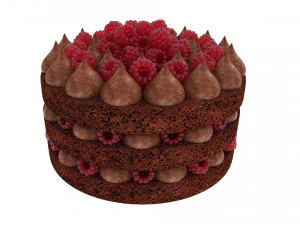 Himbeer-Schokoladenkuchen 3D Modell