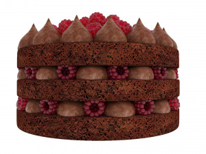 Raspberry Chocolate Cake 3D मॉडल