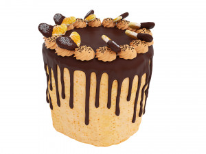 Orange Cake With Tangerines and Chocolate 3D Model
