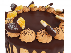 Orange Cake With Tangerines and Chocolate Model 3D