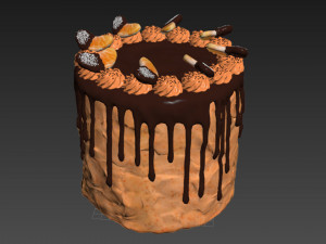 Orange Cake With Tangerines and Chocolate Model 3D