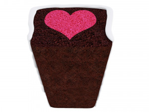 Chocolate Cake With Heart 3D Model