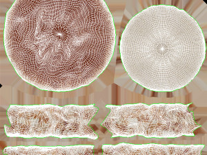 Tiramisu Cake 3D 模型