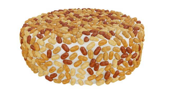 Peanut Cake 3D 모델 .c4d .max .obj .3ds .fbx .stl .blend 