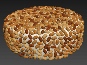 Peanut Cake 3D 모델
