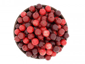 Berry wooden bowls Modello 3D