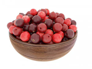 Cranberry Wooden Bowl 3D Model