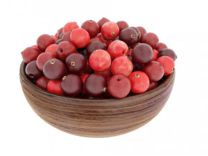Cranberry Wooden Bowl 3D Model