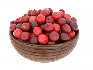 Cranberry Wooden Bowl Modelo 3D