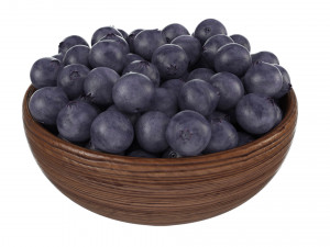 Blueberry Wooden Bowl 3D Model
