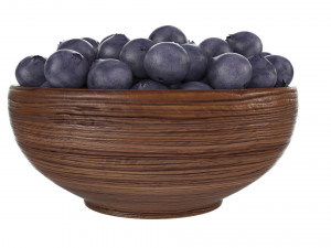 Blueberry Wooden Bowl Modello 3D