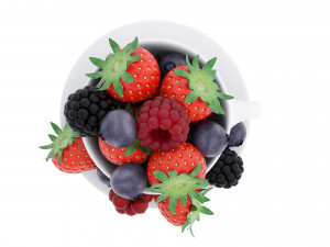 Berries 3D Model