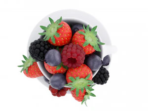 Berries 3D Model