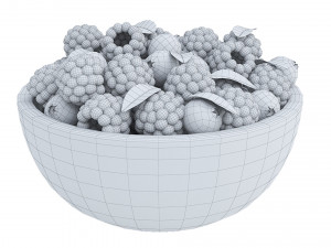 Berries 3D Model