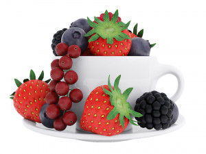 Cup of Berries 3D Model