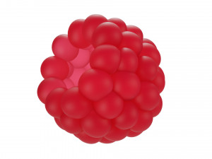 Raspberry 3D Model