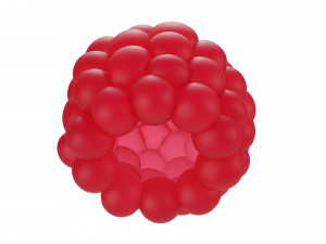 Raspberry Modelo 3D